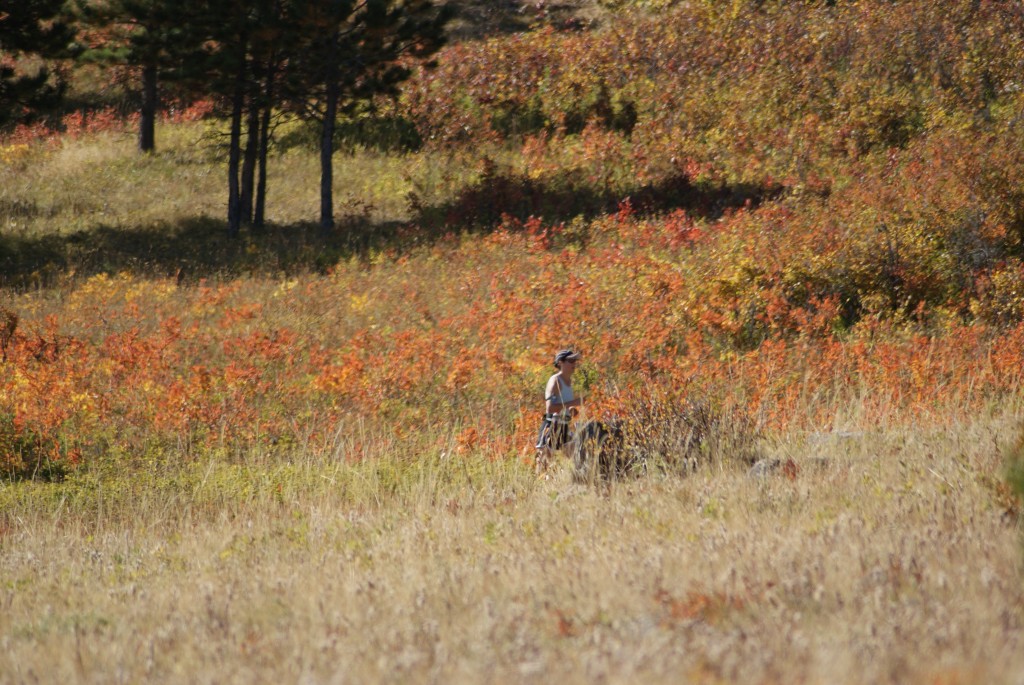 Wrangler Run 2010 