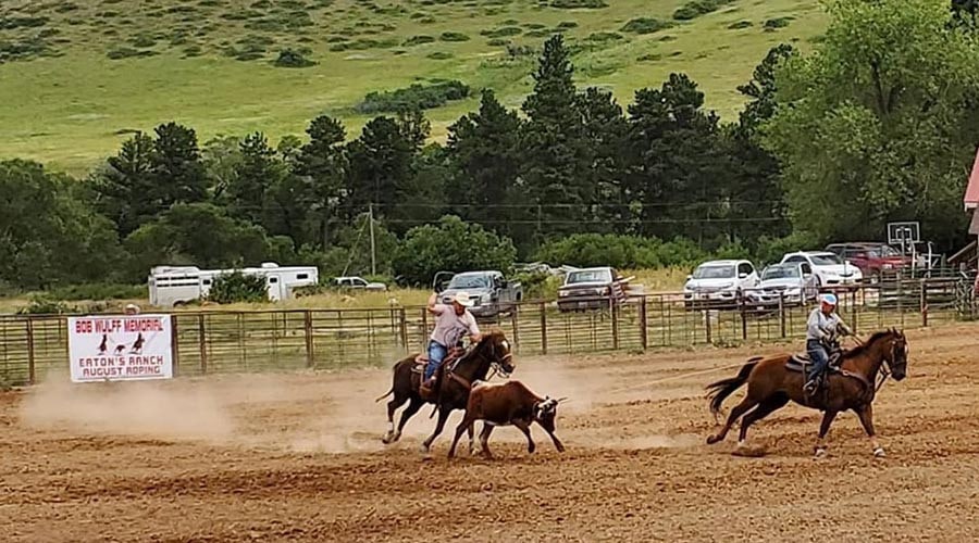 wyoming things to do: rodeo!