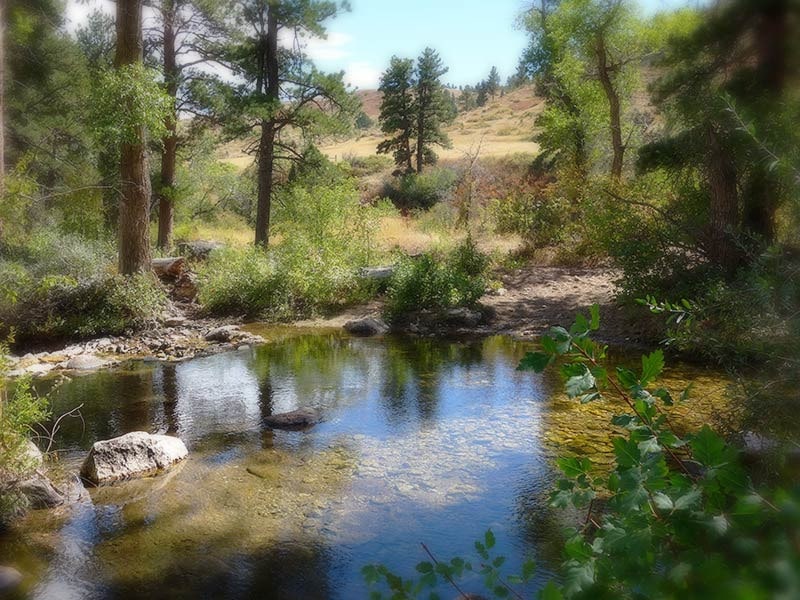 Creek at Eatons' Ranch