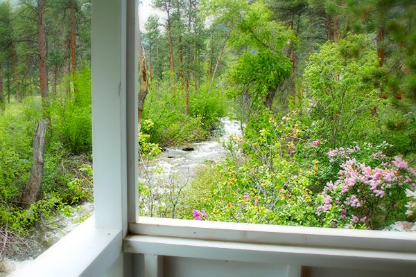 Eatons' Ranch photo 10