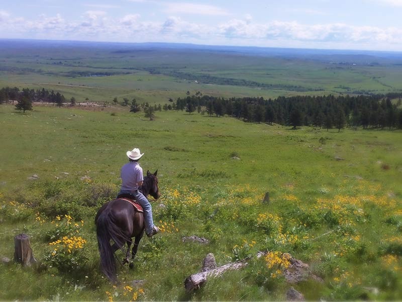 Horseback Riding in Wyoming