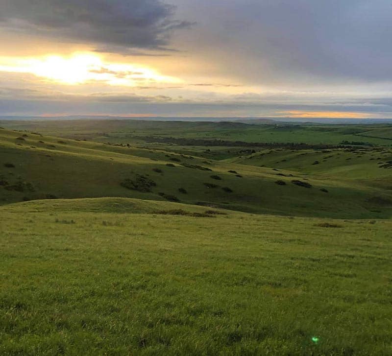 The rolling hills at Eatons' Ranch