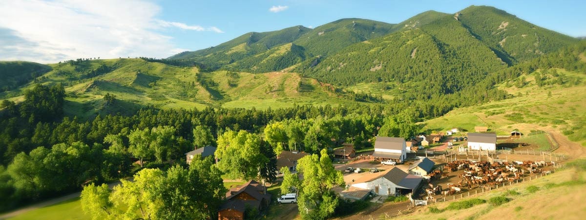 Eatons' Ranch photo 6